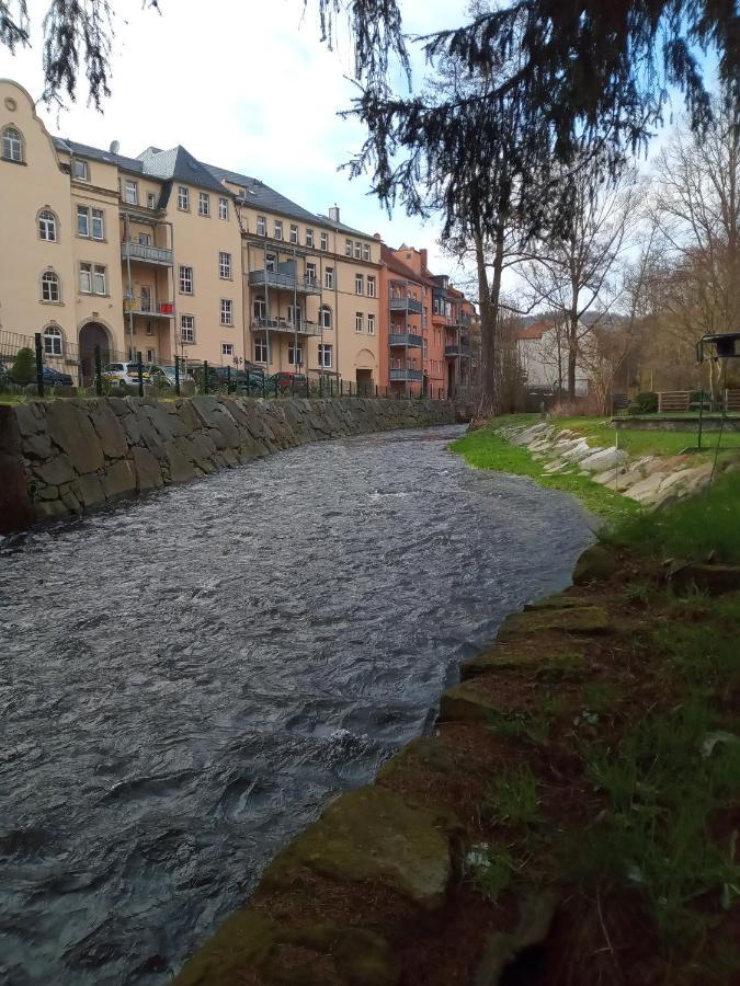 Ferienwohnung Zum Sebnitzer Hirsch エクステリア 写真