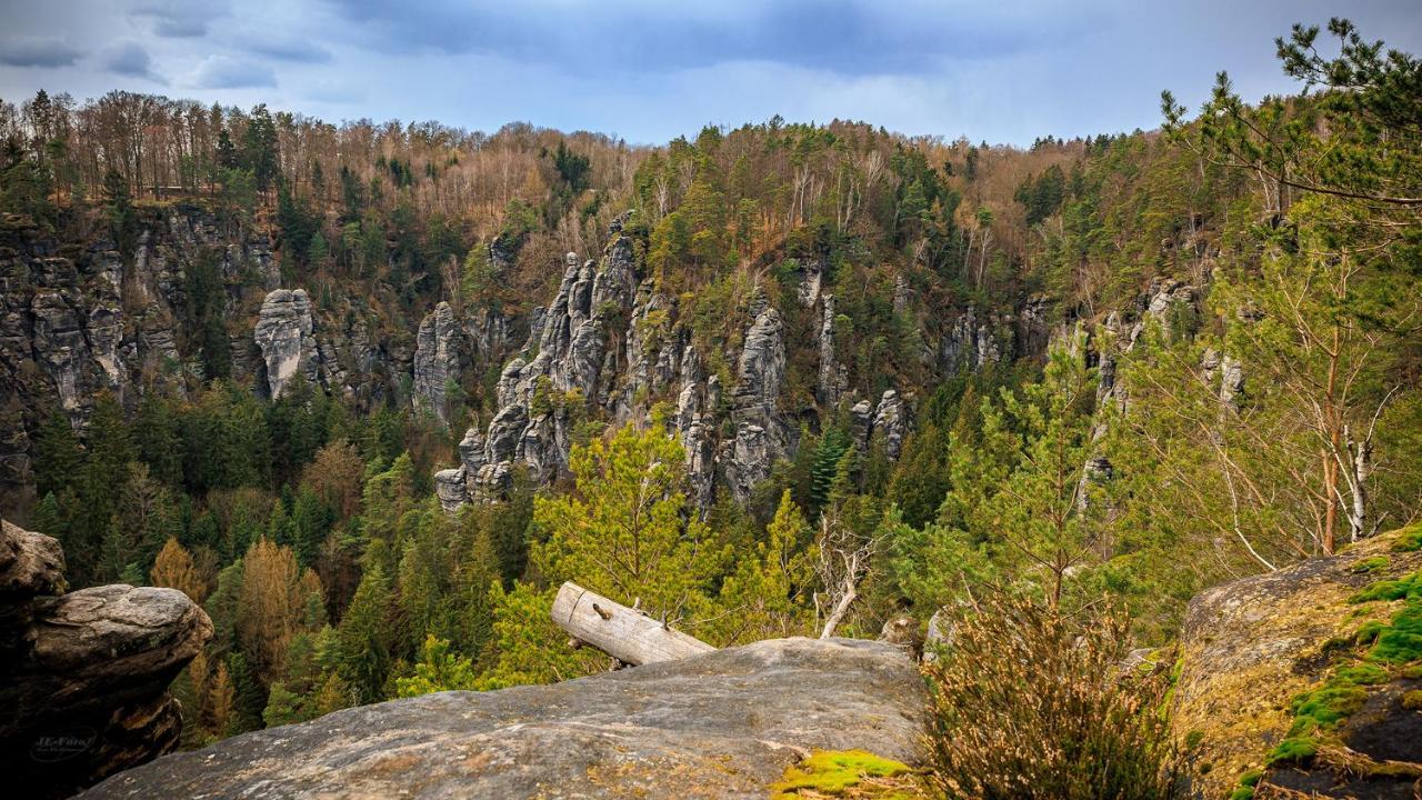 Ferienwohnung Zum Sebnitzer Hirsch エクステリア 写真