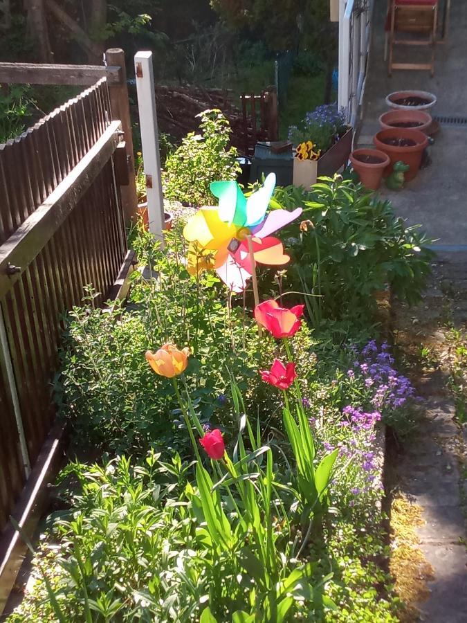 Ferienwohnung Zum Sebnitzer Hirsch エクステリア 写真