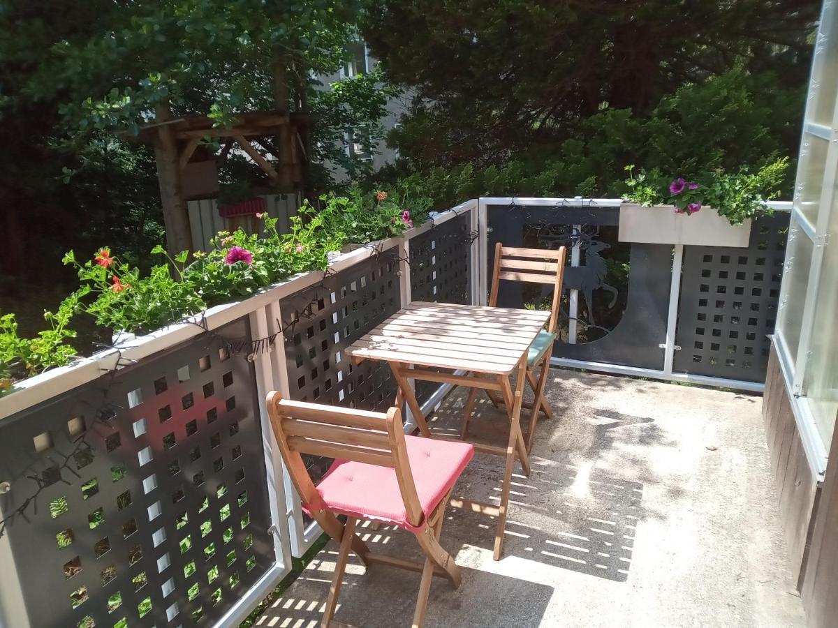 Ferienwohnung Zum Sebnitzer Hirsch エクステリア 写真