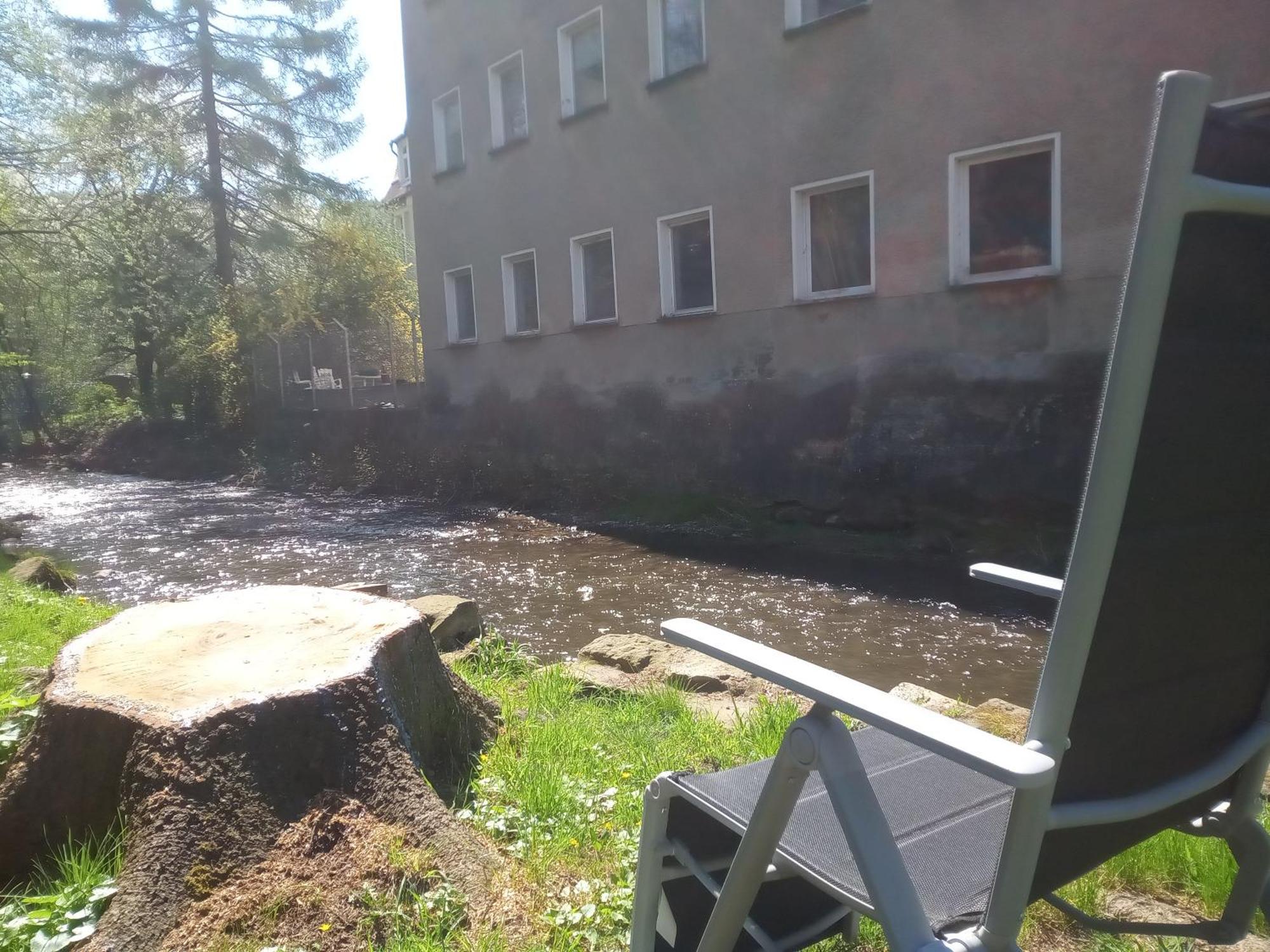 Ferienwohnung Zum Sebnitzer Hirsch エクステリア 写真