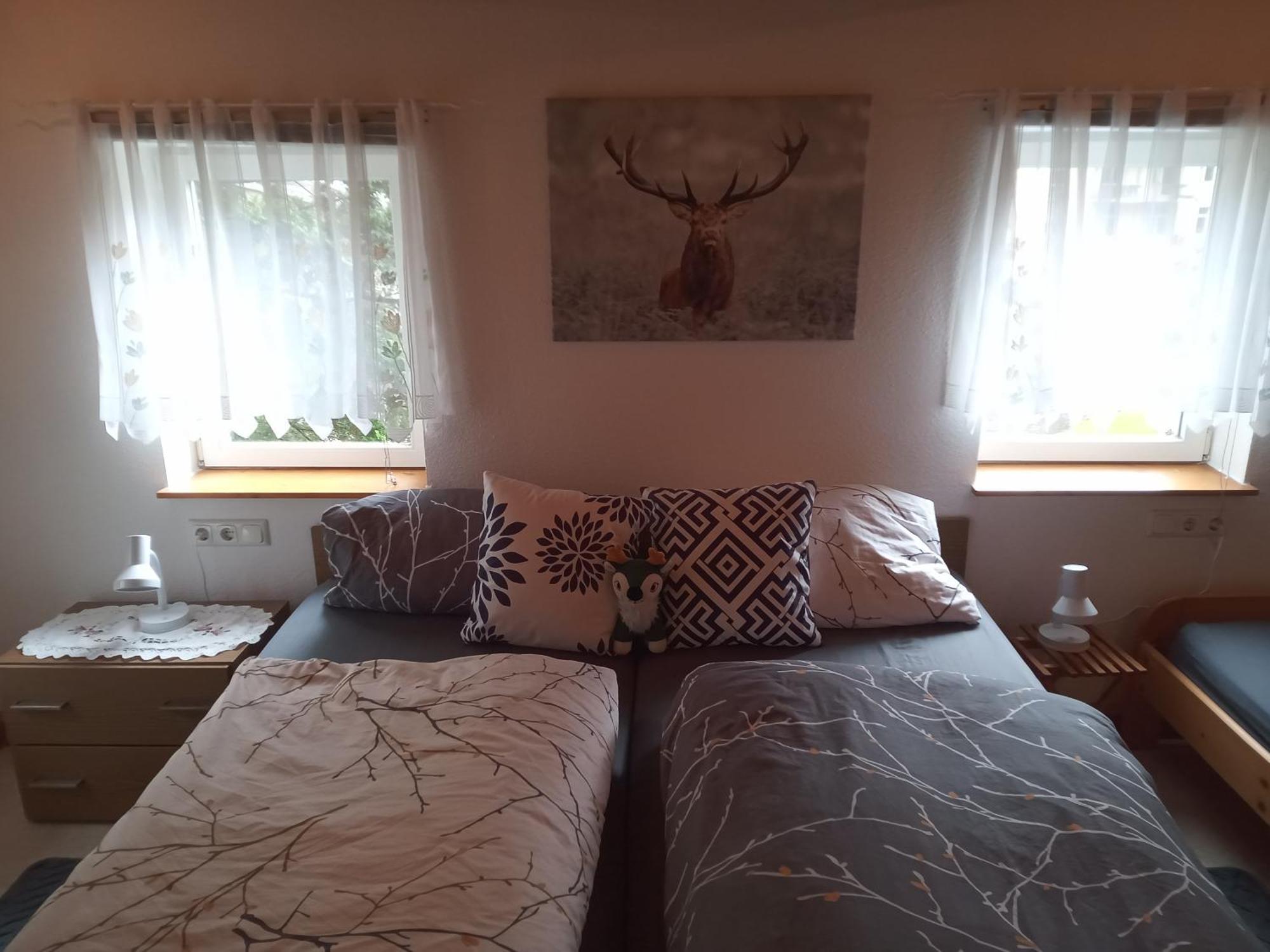 Ferienwohnung Zum Sebnitzer Hirsch エクステリア 写真